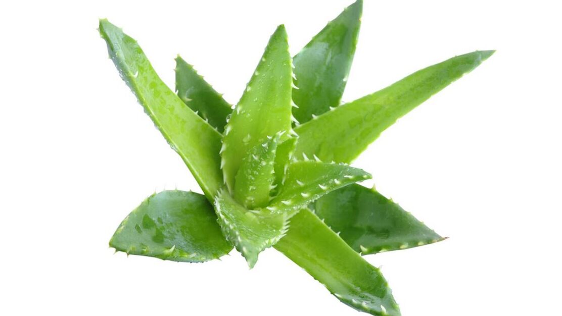 Aloe-Creme Proctonic